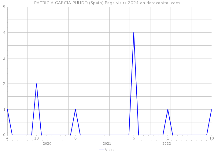 PATRICIA GARCIA PULIDO (Spain) Page visits 2024 