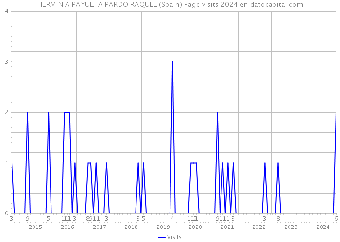 HERMINIA PAYUETA PARDO RAQUEL (Spain) Page visits 2024 