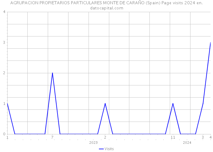 AGRUPACION PROPIETARIOS PARTICULARES MONTE DE CARAÑO (Spain) Page visits 2024 
