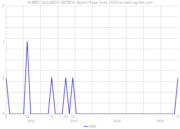 RUBEN GALLARDO ORTEGA (Spain) Page visits 2024 