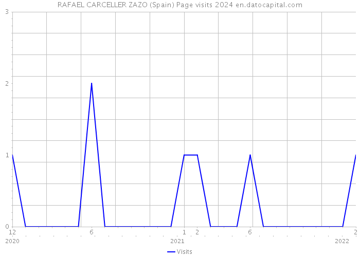 RAFAEL CARCELLER ZAZO (Spain) Page visits 2024 