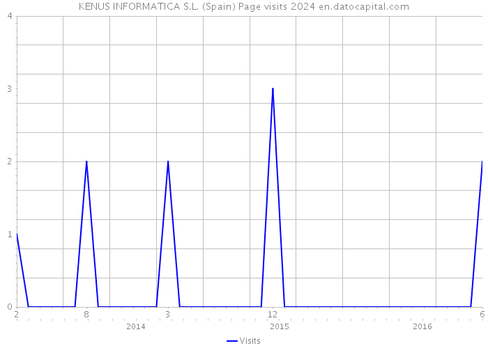 KENUS INFORMATICA S.L. (Spain) Page visits 2024 