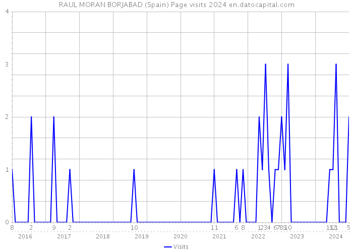 RAUL MORAN BORJABAD (Spain) Page visits 2024 
