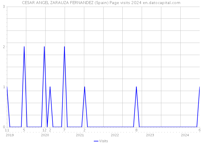 CESAR ANGEL ZARAUZA FERNANDEZ (Spain) Page visits 2024 