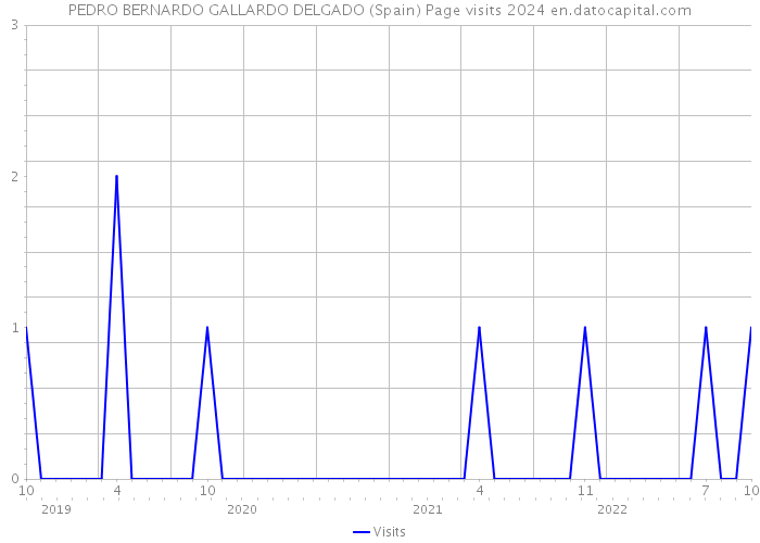 PEDRO BERNARDO GALLARDO DELGADO (Spain) Page visits 2024 