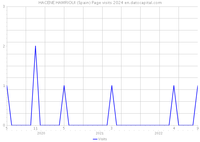 HACENE HAMRIOUI (Spain) Page visits 2024 