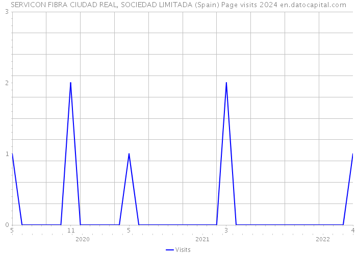 SERVICON FIBRA CIUDAD REAL, SOCIEDAD LIMITADA (Spain) Page visits 2024 
