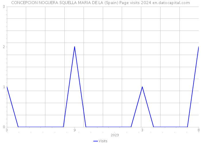 CONCEPCION NOGUERA SQUELLA MARIA DE LA (Spain) Page visits 2024 