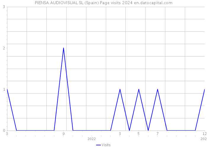PIENSA AUDIOVISUAL SL (Spain) Page visits 2024 