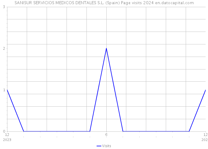 SANISUR SERVICIOS MEDICOS DENTALES S.L. (Spain) Page visits 2024 