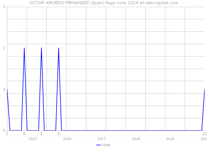 VICTOR AMOEDO FERNANDEZ (Spain) Page visits 2024 