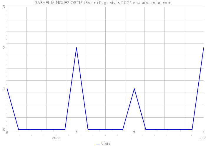RAFAEL MINGUEZ ORTIZ (Spain) Page visits 2024 