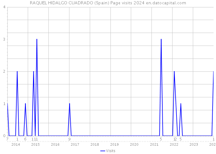 RAQUEL HIDALGO CUADRADO (Spain) Page visits 2024 