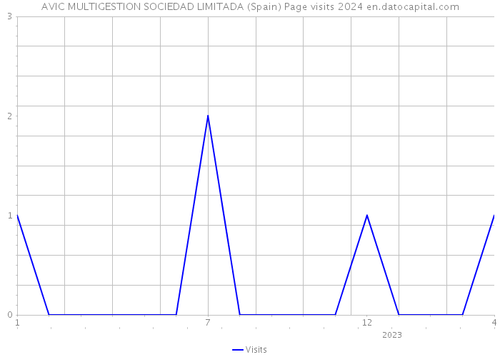 AVIC MULTIGESTION SOCIEDAD LIMITADA (Spain) Page visits 2024 