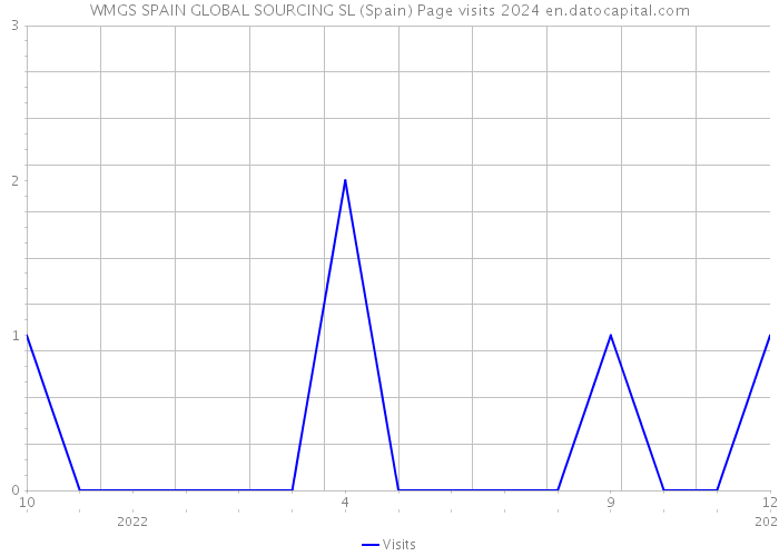 WMGS SPAIN GLOBAL SOURCING SL (Spain) Page visits 2024 