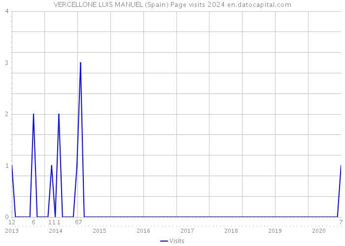 VERCELLONE LUIS MANUEL (Spain) Page visits 2024 