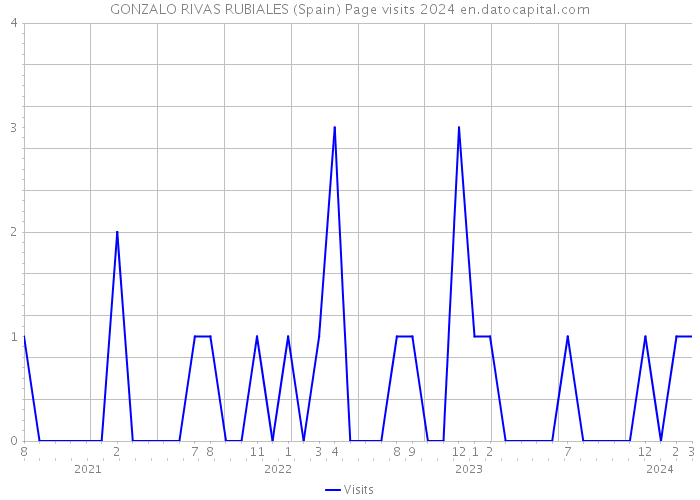 GONZALO RIVAS RUBIALES (Spain) Page visits 2024 