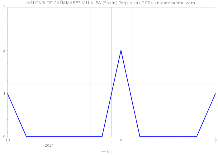 JUAN CARLOS CAÑAMARES VILLALBA (Spain) Page visits 2024 