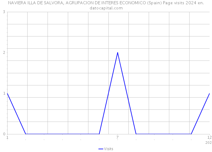 NAVIERA ILLA DE SALVORA, AGRUPACION DE INTERES ECONOMICO (Spain) Page visits 2024 