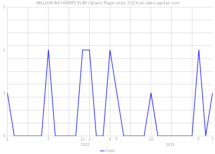 WILLIAM BAYARRES RUBI (Spain) Page visits 2024 