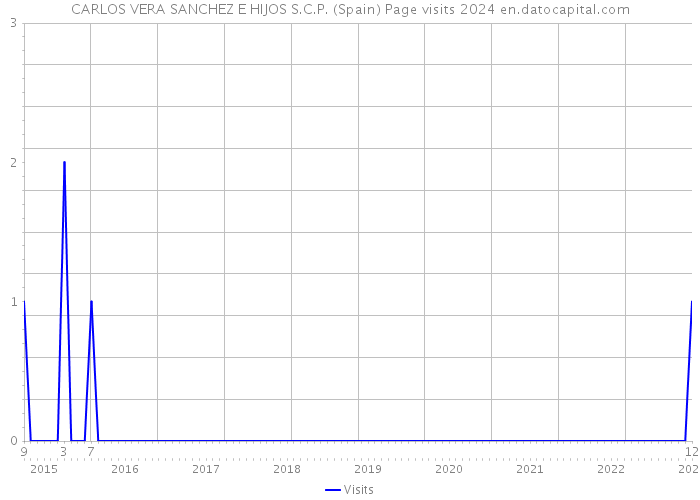 CARLOS VERA SANCHEZ E HIJOS S.C.P. (Spain) Page visits 2024 