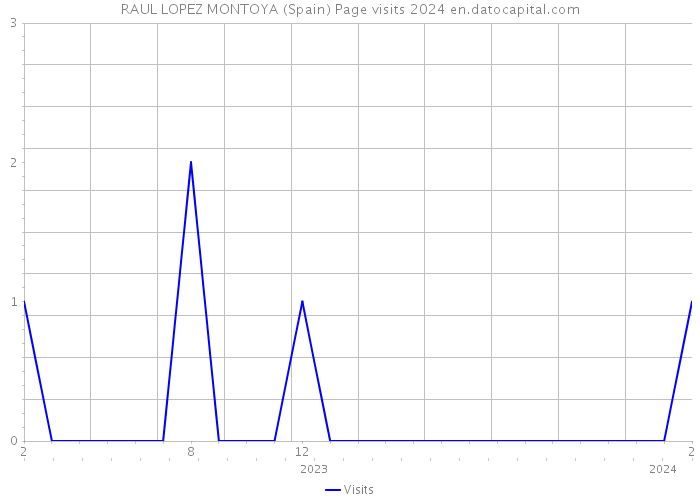 RAUL LOPEZ MONTOYA (Spain) Page visits 2024 