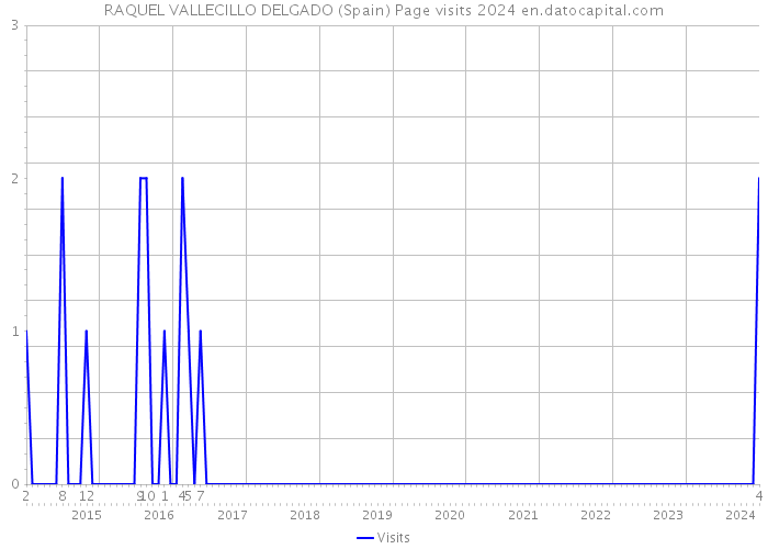 RAQUEL VALLECILLO DELGADO (Spain) Page visits 2024 