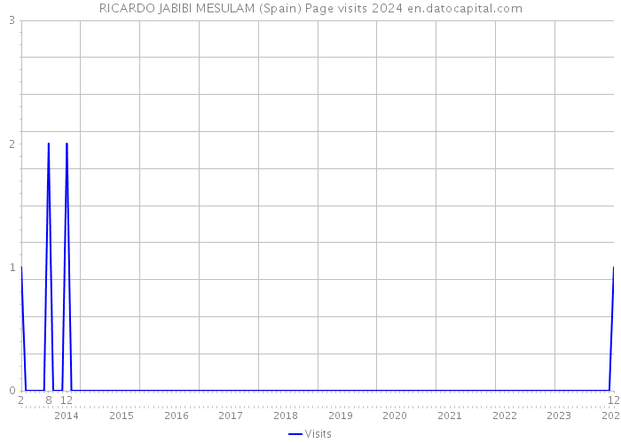 RICARDO JABIBI MESULAM (Spain) Page visits 2024 