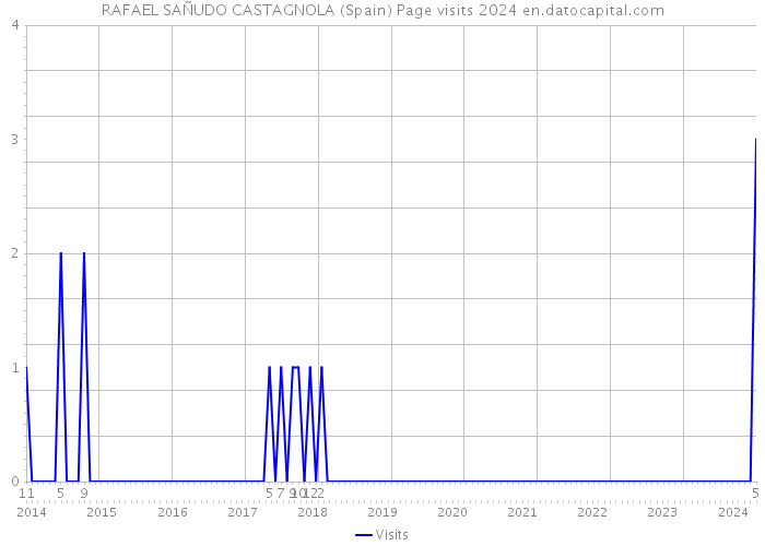 RAFAEL SAÑUDO CASTAGNOLA (Spain) Page visits 2024 