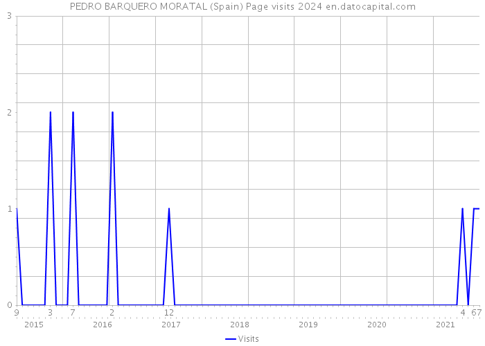 PEDRO BARQUERO MORATAL (Spain) Page visits 2024 