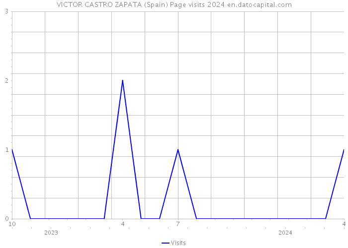 VICTOR CASTRO ZAPATA (Spain) Page visits 2024 