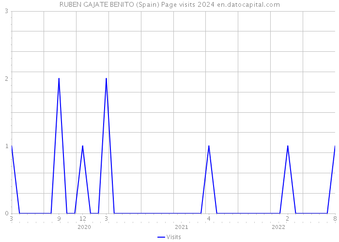 RUBEN GAJATE BENITO (Spain) Page visits 2024 
