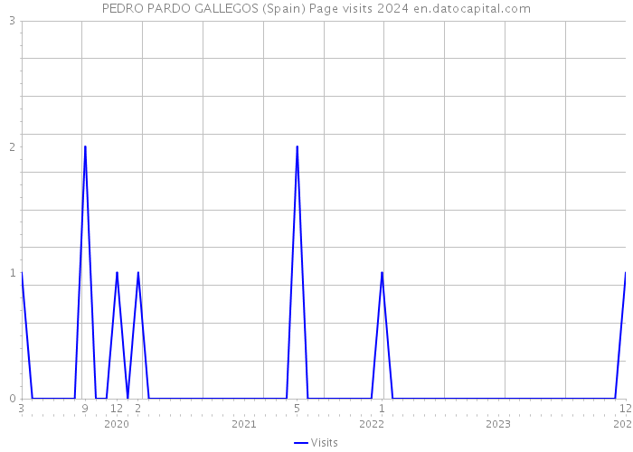 PEDRO PARDO GALLEGOS (Spain) Page visits 2024 