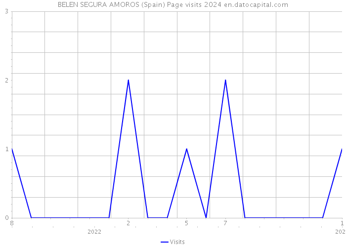 BELEN SEGURA AMOROS (Spain) Page visits 2024 