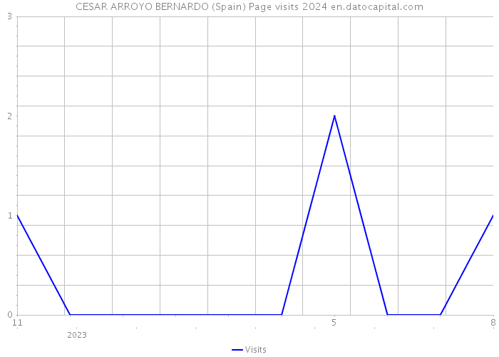 CESAR ARROYO BERNARDO (Spain) Page visits 2024 