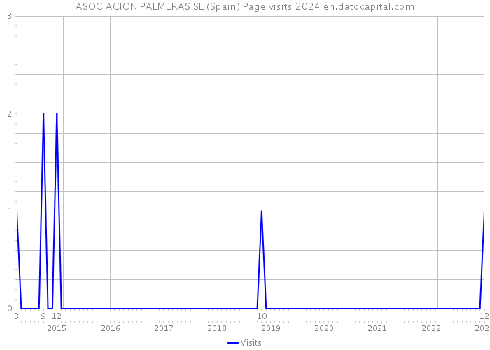 ASOCIACION PALMERAS SL (Spain) Page visits 2024 