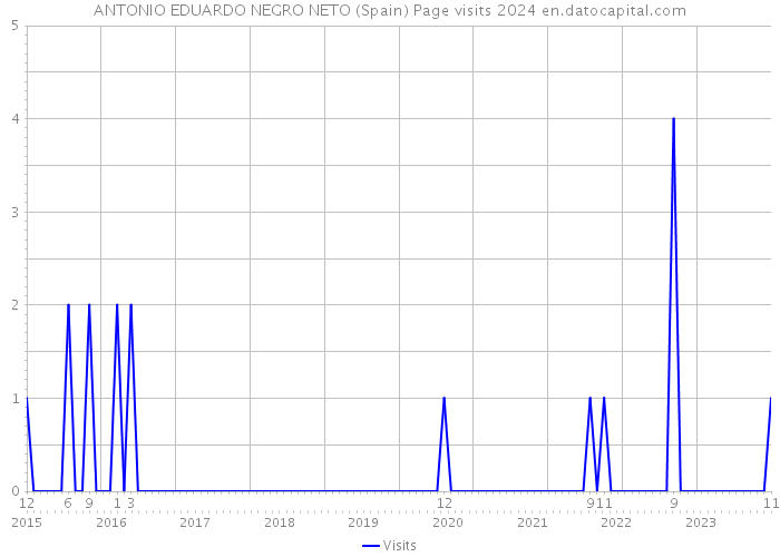 ANTONIO EDUARDO NEGRO NETO (Spain) Page visits 2024 