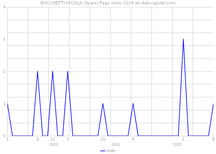 BOCCHETTI NICOLA (Spain) Page visits 2024 