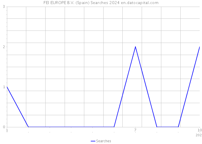 FEI EUROPE B.V. (Spain) Searches 2024 