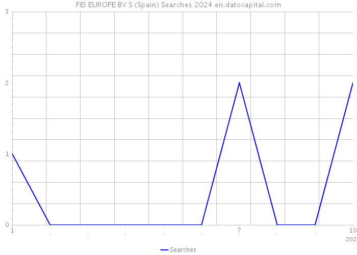 FEI EUROPE BV S (Spain) Searches 2024 