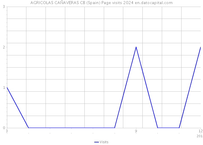 AGRICOLAS CAÑAVERAS CB (Spain) Page visits 2024 