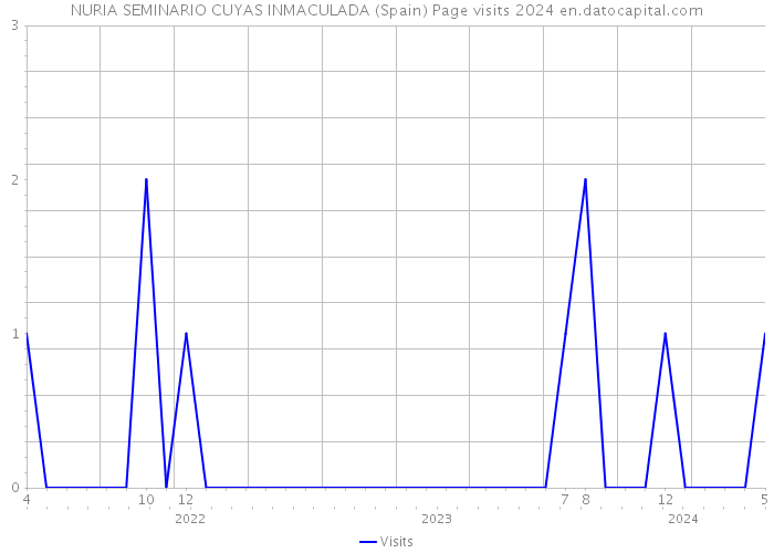 NURIA SEMINARIO CUYAS INMACULADA (Spain) Page visits 2024 