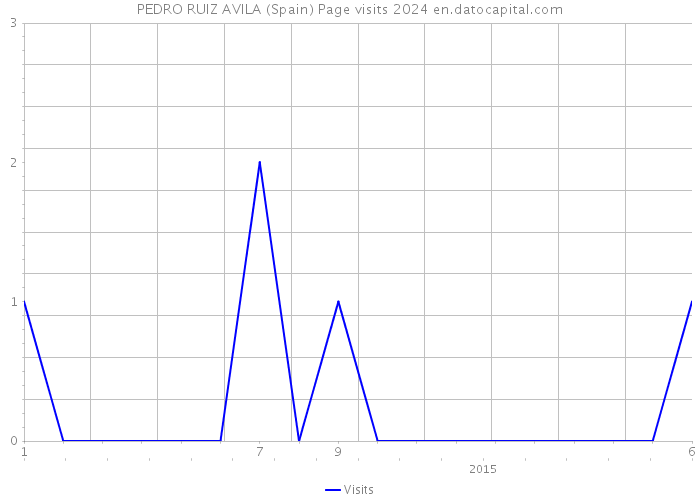 PEDRO RUIZ AVILA (Spain) Page visits 2024 