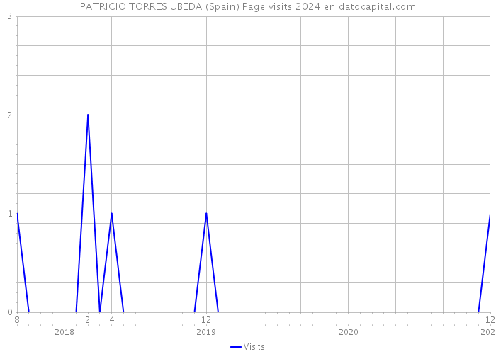 PATRICIO TORRES UBEDA (Spain) Page visits 2024 