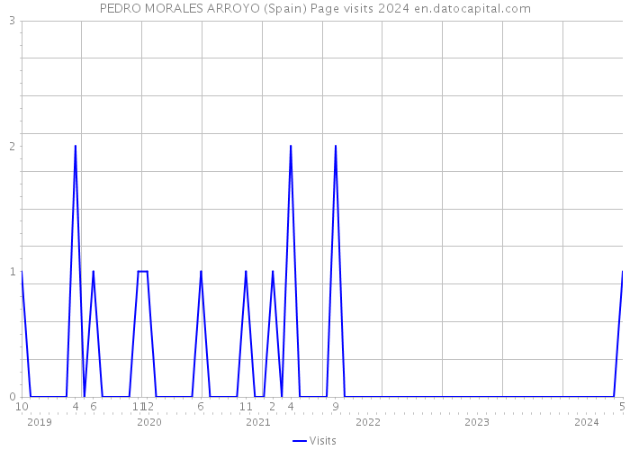 PEDRO MORALES ARROYO (Spain) Page visits 2024 
