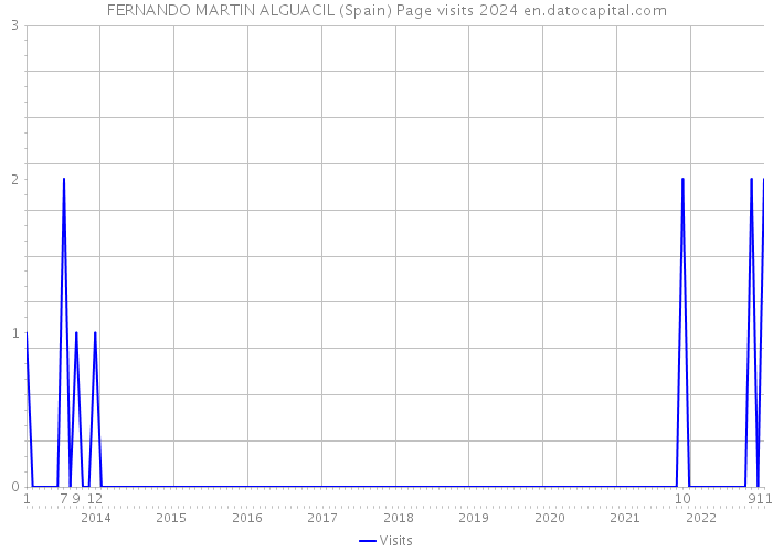 FERNANDO MARTIN ALGUACIL (Spain) Page visits 2024 