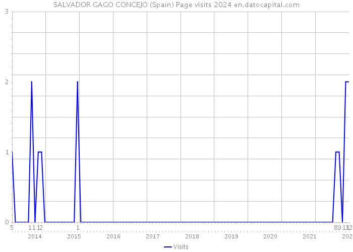 SALVADOR GAGO CONCEJO (Spain) Page visits 2024 