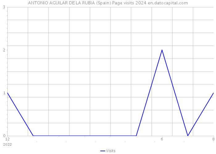 ANTONIO AGUILAR DE LA RUBIA (Spain) Page visits 2024 