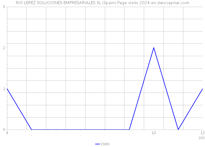 RIO LEREZ SOLUCIONES EMPRESARIALES SL (Spain) Page visits 2024 