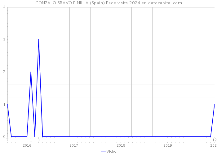 GONZALO BRAVO PINILLA (Spain) Page visits 2024 